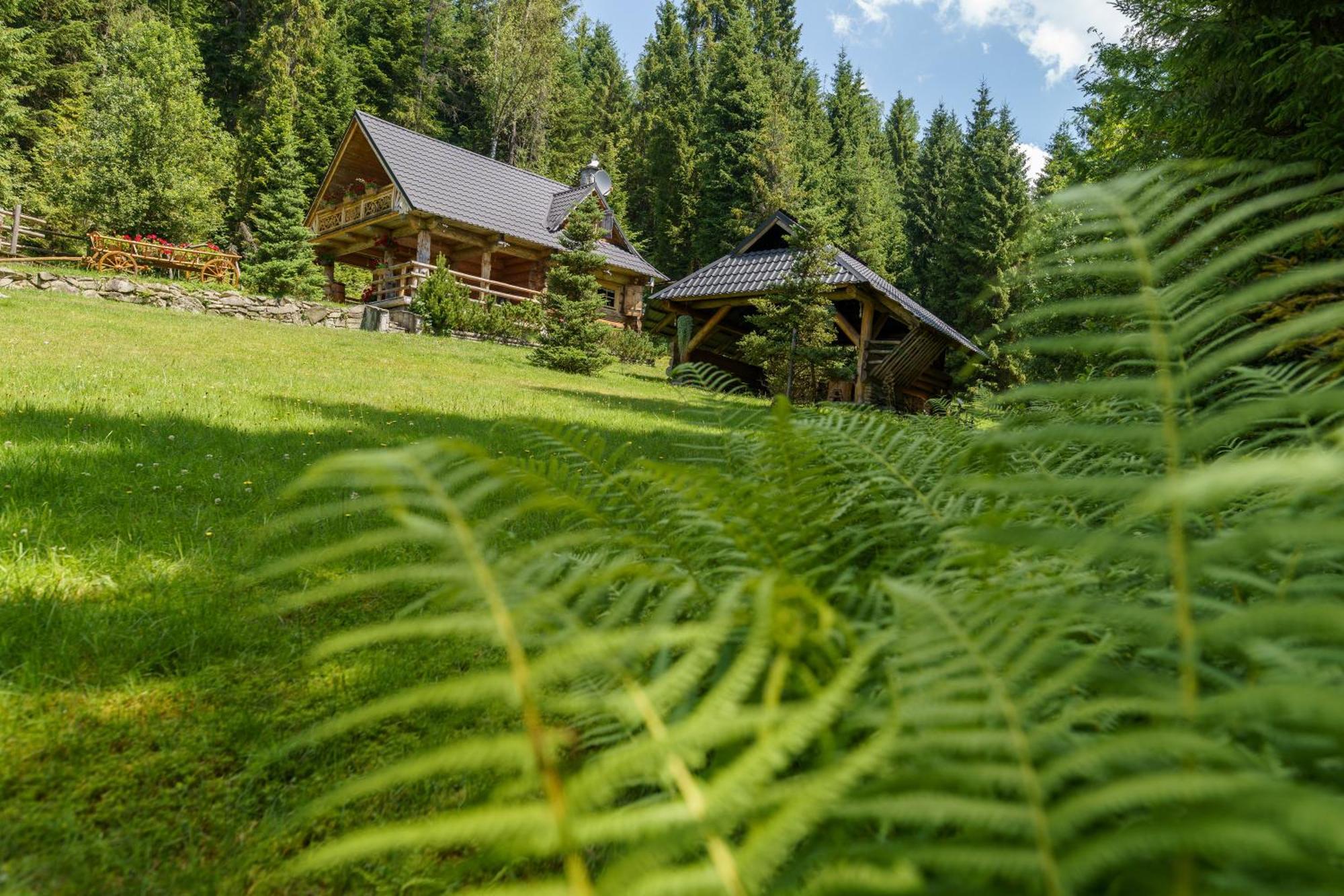 Lesna Bacowka Villa โนวือตาร์ก ภายนอก รูปภาพ