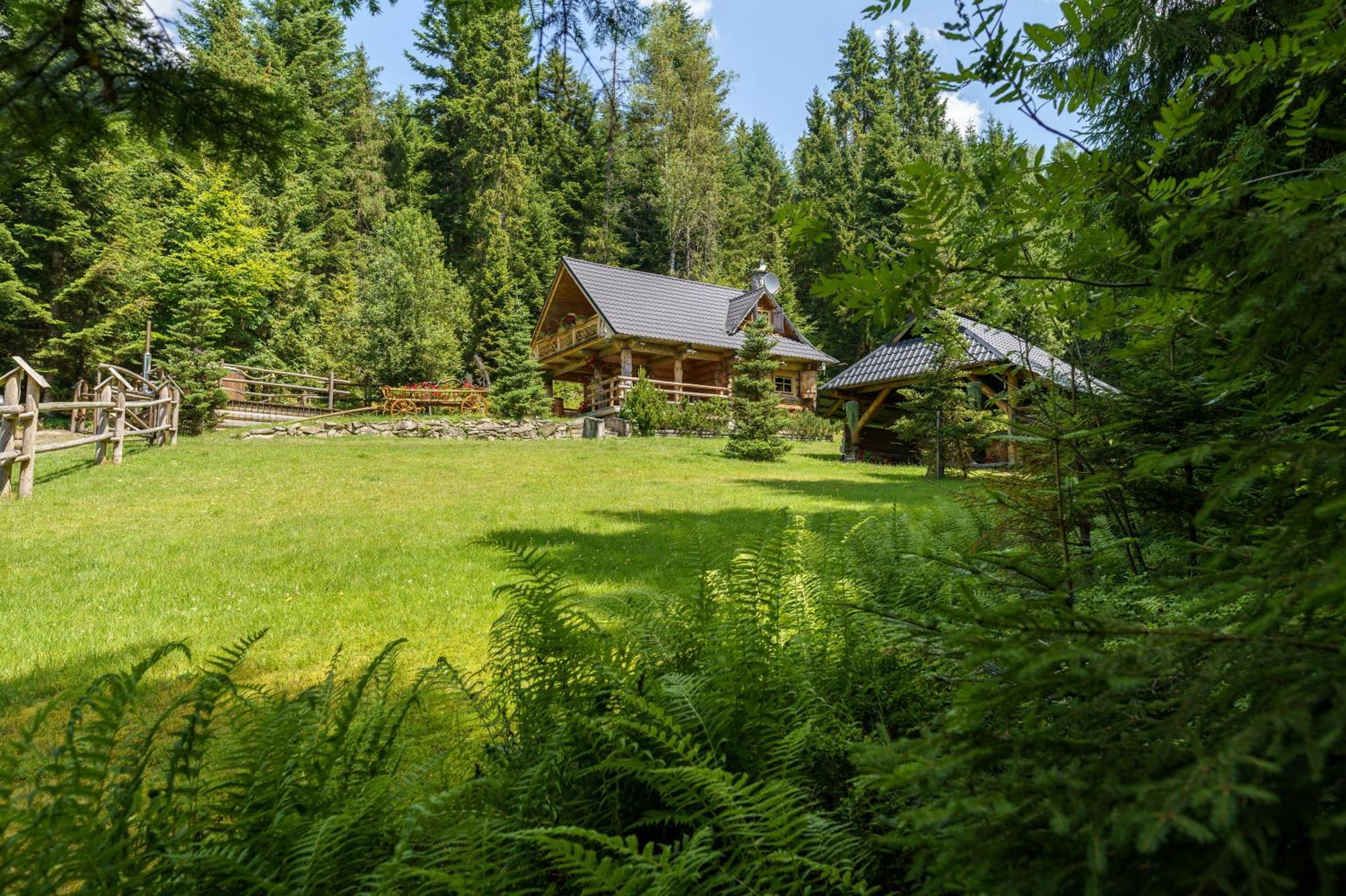 Lesna Bacowka Villa โนวือตาร์ก ภายนอก รูปภาพ