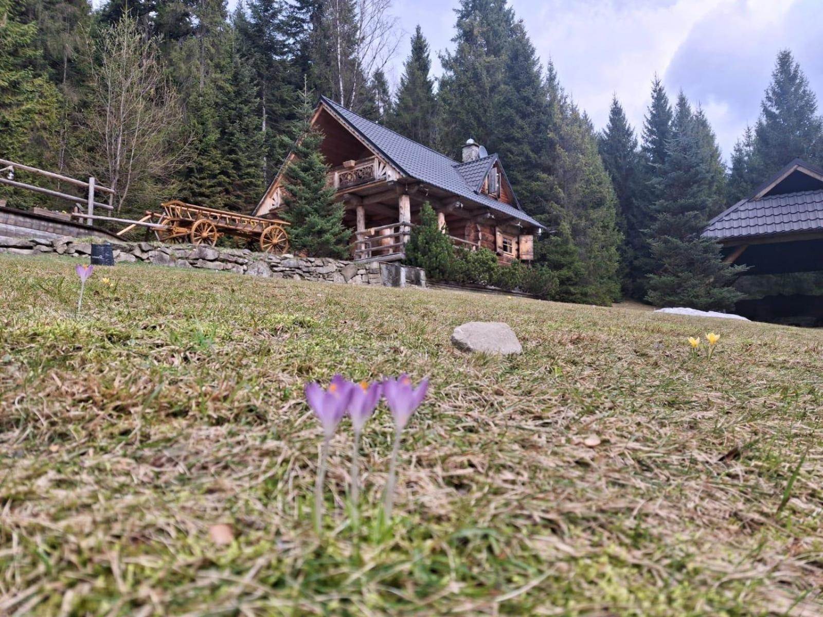 Lesna Bacowka Villa โนวือตาร์ก ภายนอก รูปภาพ
